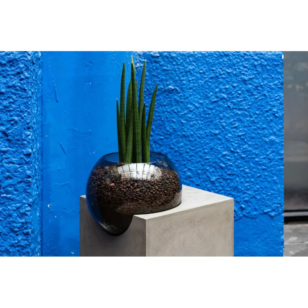 CURB ACCENT TABLE