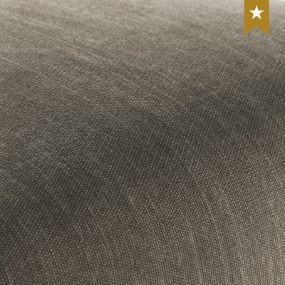 ELBA Armchair –Arno : Elegant Modern Accent Chair for Living Room & Office Seating