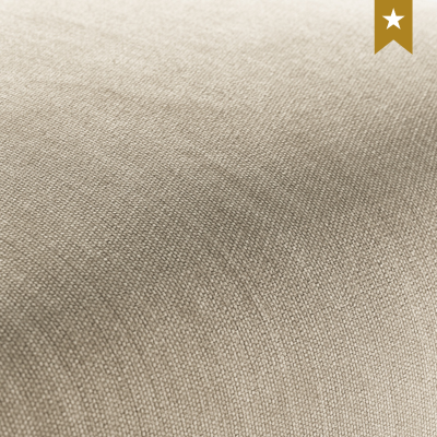 ELBA Armchair –Arno : Elegant Modern Accent Chair for Living Room & Office Seating