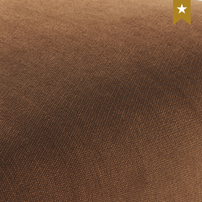 ELBA Armchair –Arno : Elegant Modern Accent Chair for Living Room & Office Seating