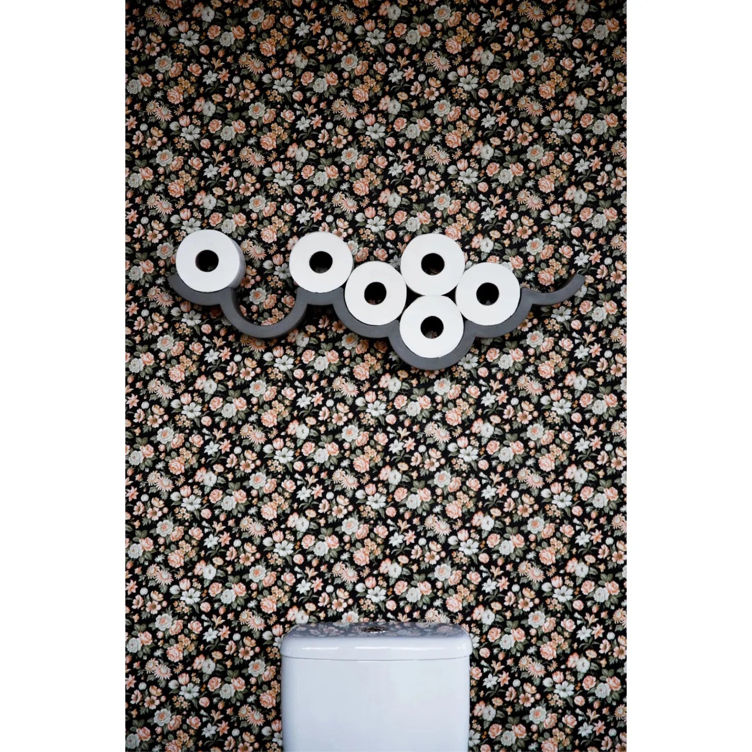 CLOUD 745 TOILET PAPER HOLDER