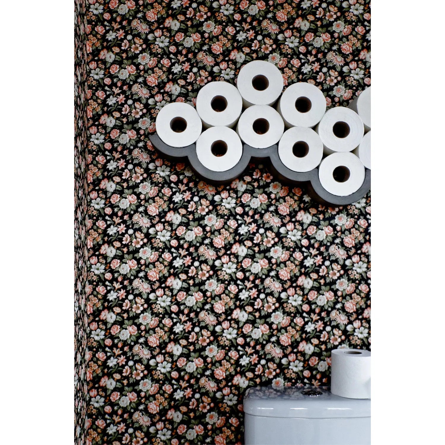 CLOUD 745 TOILET PAPER HOLDER