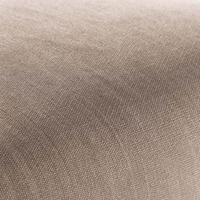 ELBA Armchair –Arno : Elegant Modern Accent Chair for Living Room & Office Seating
