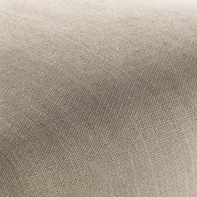 ELBA Armchair –Arno : Elegant Modern Accent Chair for Living Room & Office Seating