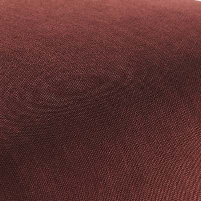 ELBA Armchair –Arno : Elegant Modern Accent Chair for Living Room & Office Seating