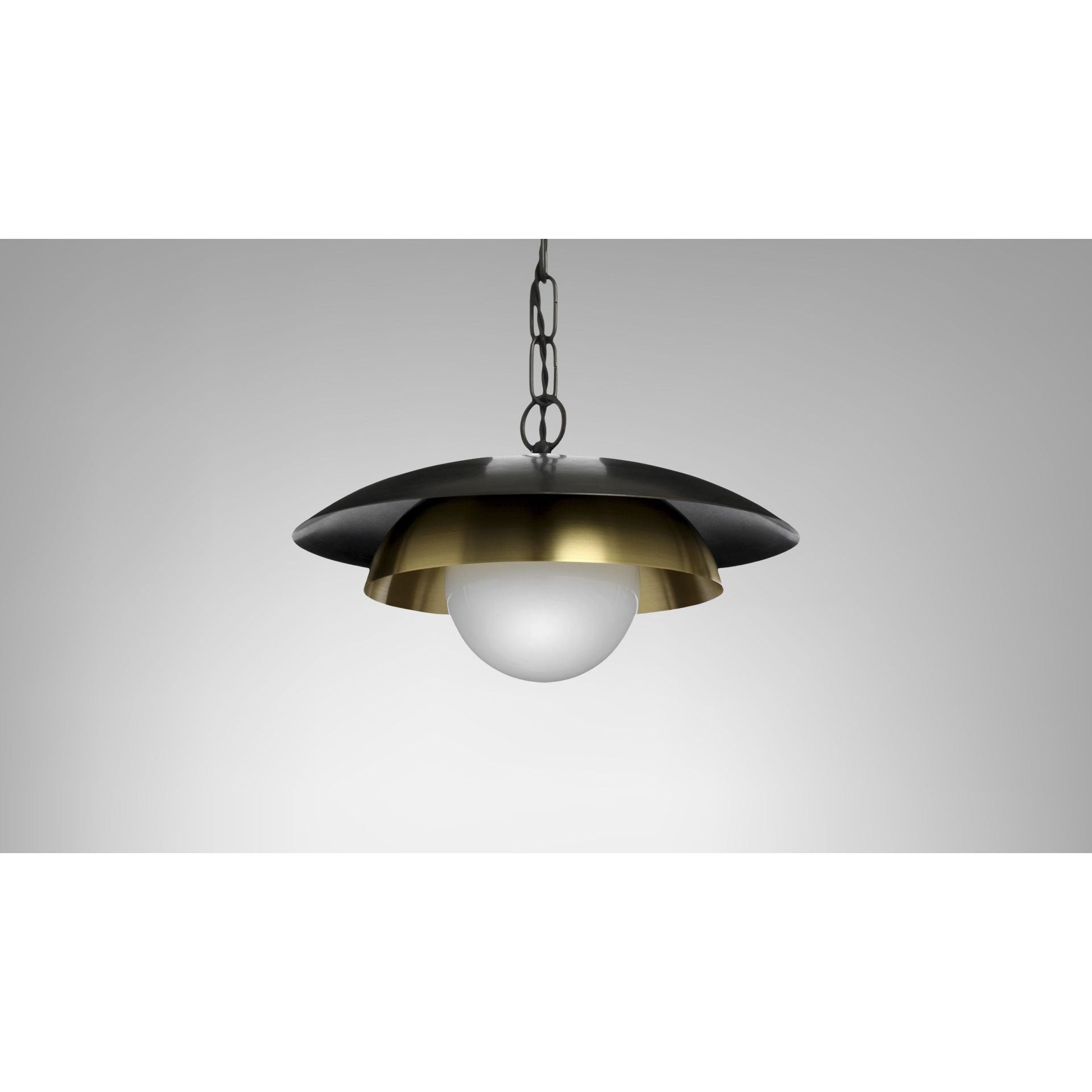 CARAPACE PENDANT
