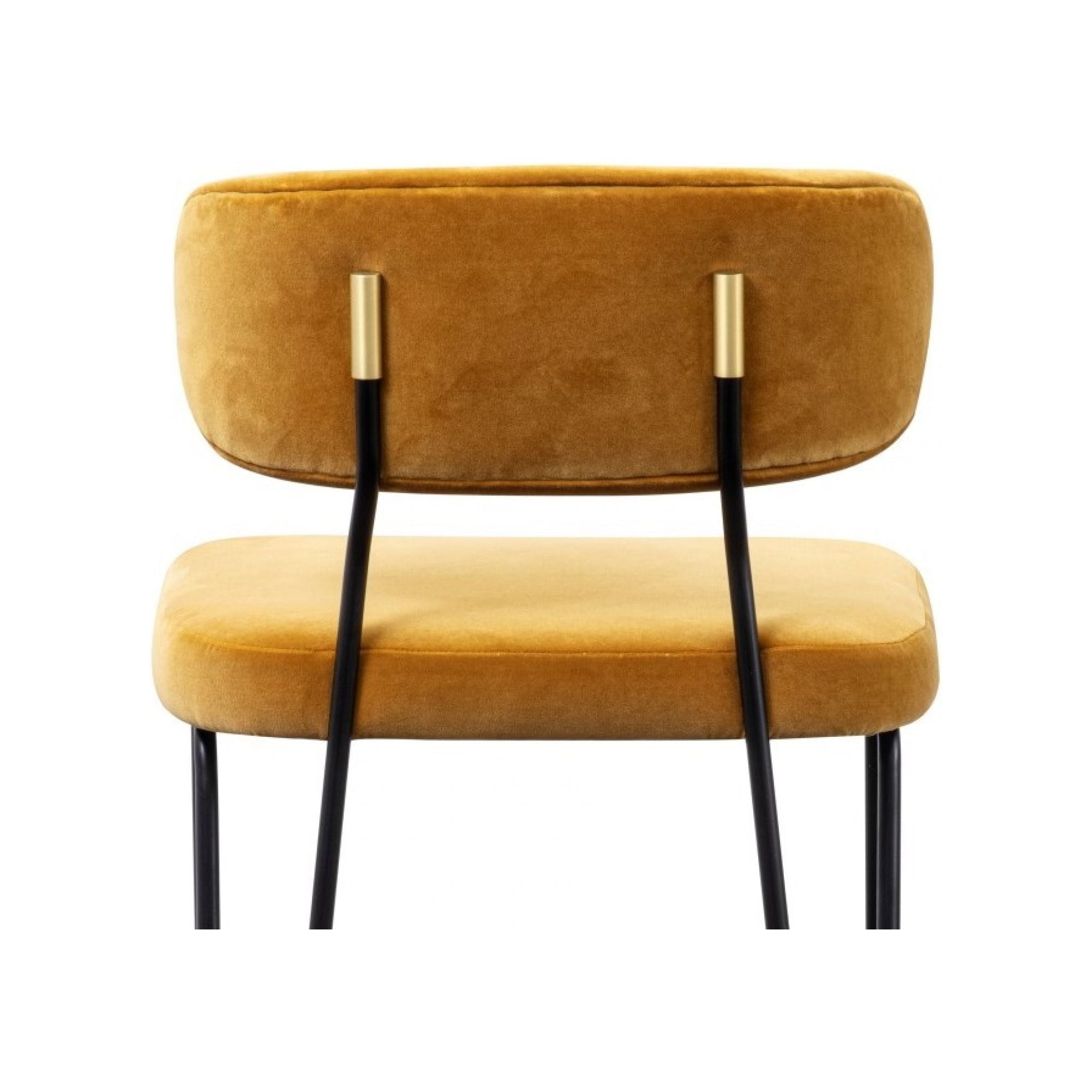 Apollo Counter Stool