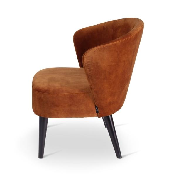 LOT lounge chair with round wooden legs