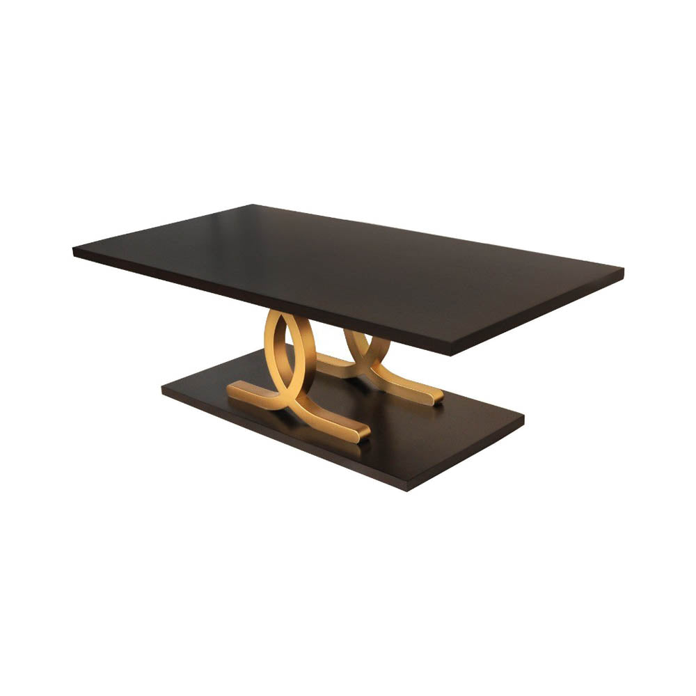 Azaro Brown and Gold Coffee Table | Modern Furniture + Decor
