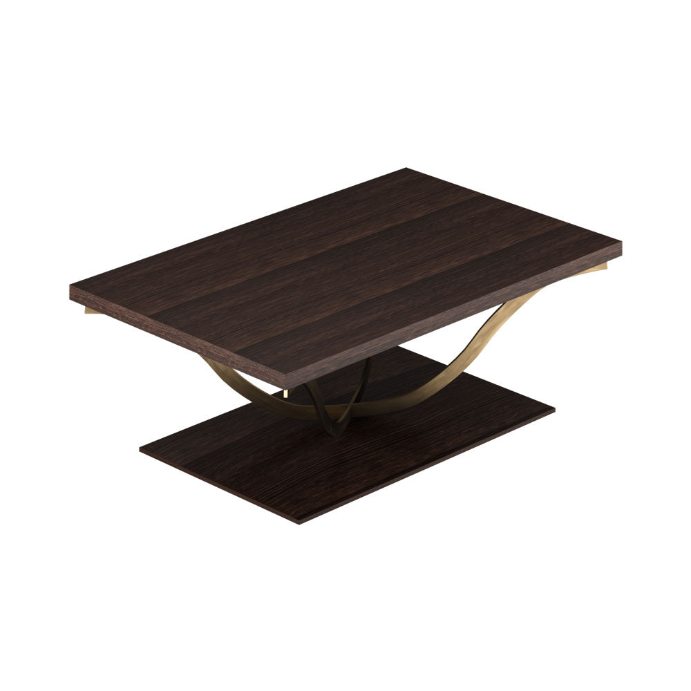 Orkney Rectangle Wooden and Metal Coffee Table with Veneer Inlay | Modern Furniture + Decor